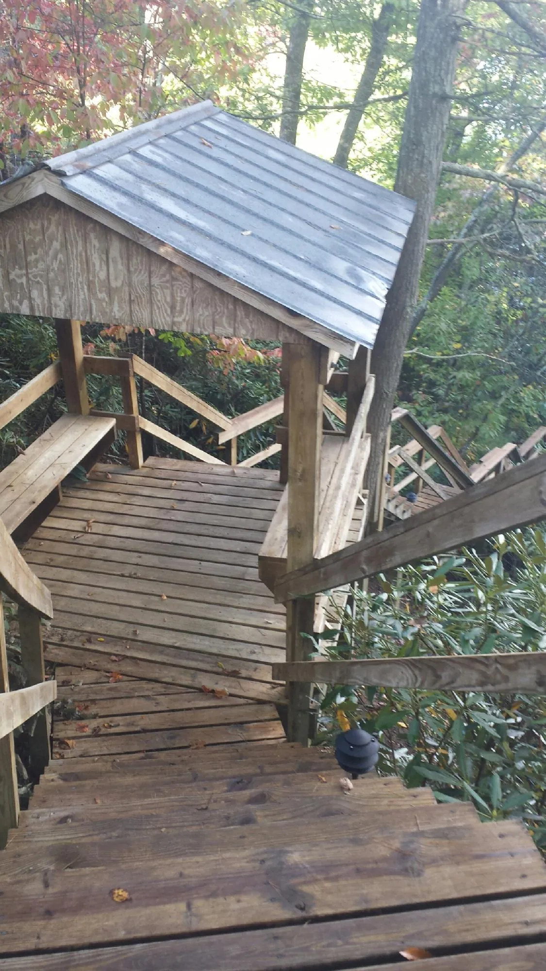 Metal roofed shelter over wooden steps on a wooded walkway — Skylight Repair & Installation work by our crew in Pine Level